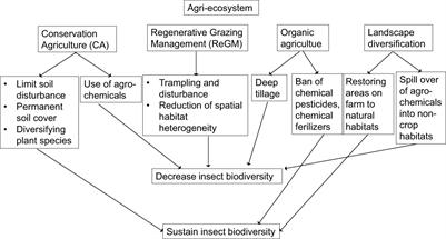 Sustaining insect biodiversity in agricultural systems to ensure future food security